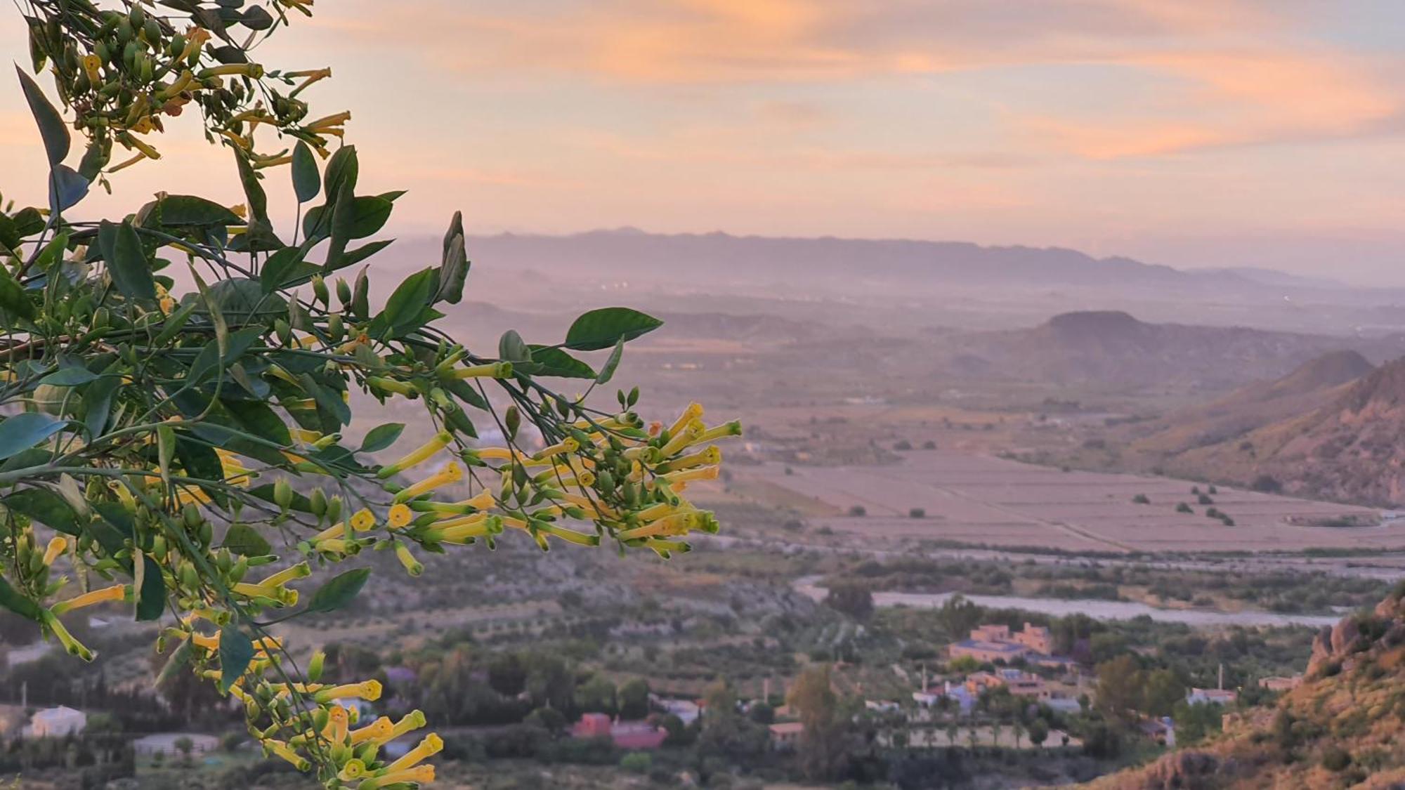 Casanova En Terreros Βίλα San Juan de los Terreros Εξωτερικό φωτογραφία